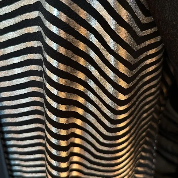 Fun shiny silver top with sheer black overlay - Picture 2 of 5